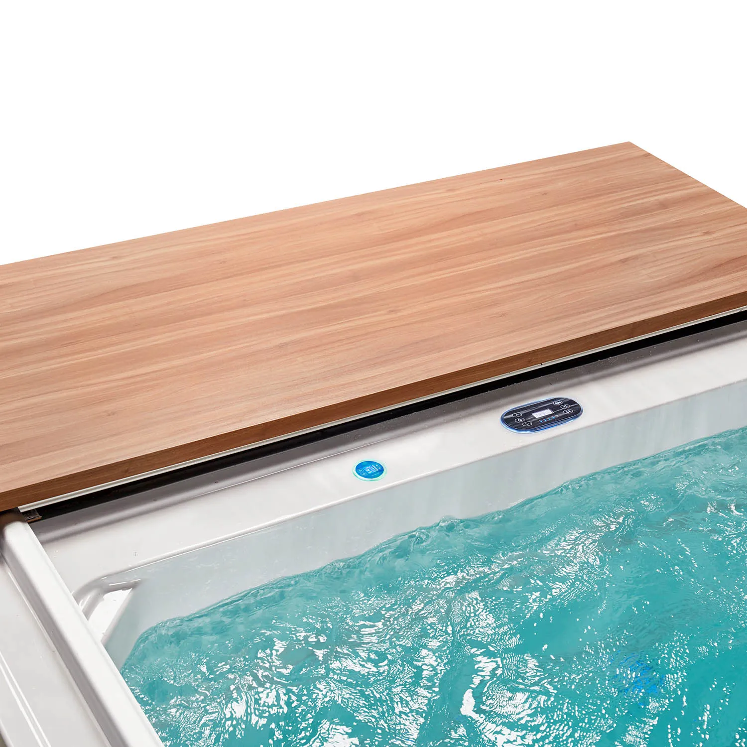 swim spa pool
