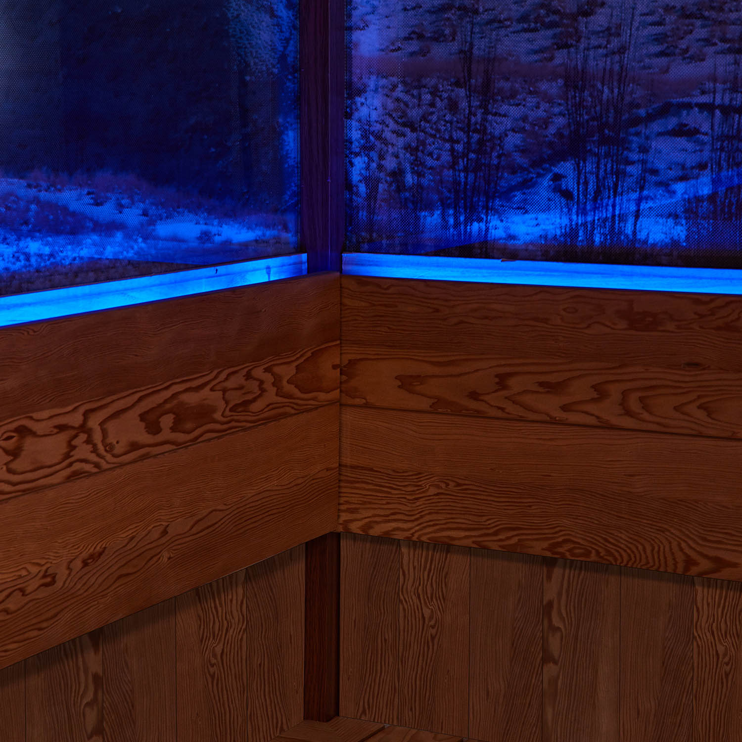 Luxury red cedar sauna room for sauna and winter WS-1906