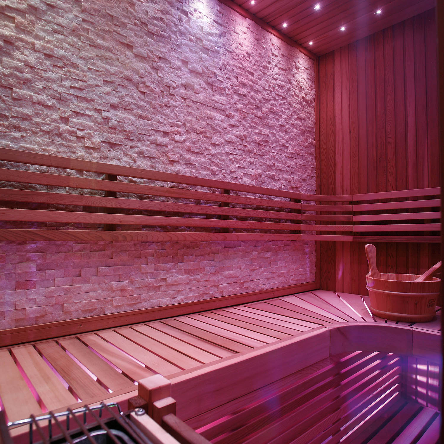 luxury dry sauna and steam room WS-1223