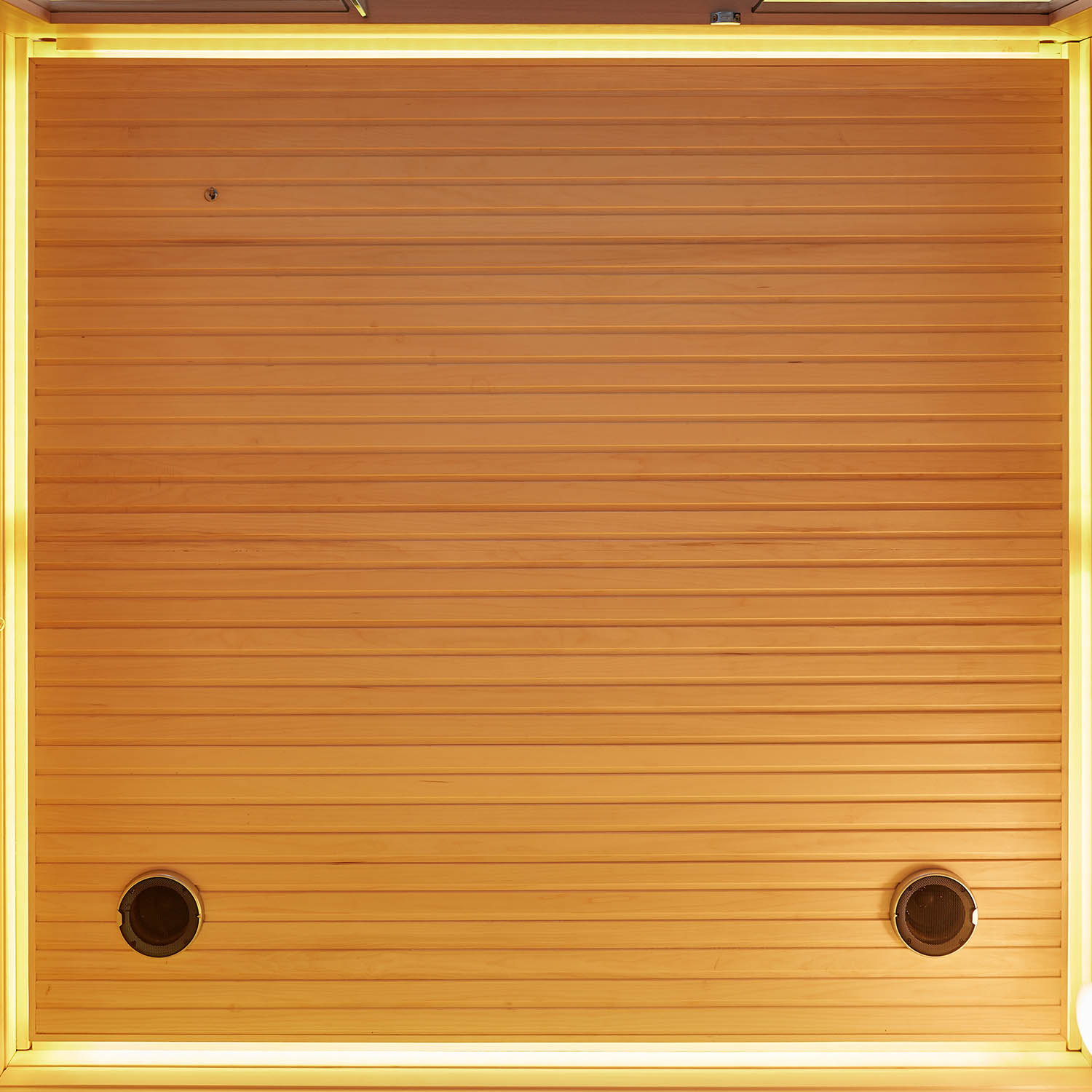 indoor computer dry sauna room WS-YL10